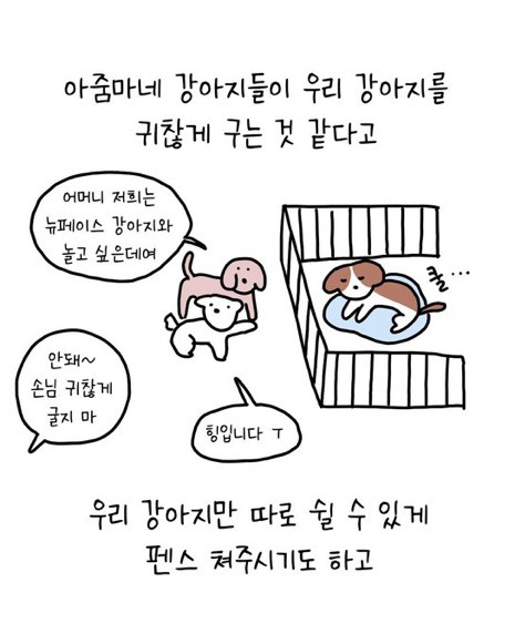 이웃집에 강아지를 맡기는 이야기 | 인스티즈