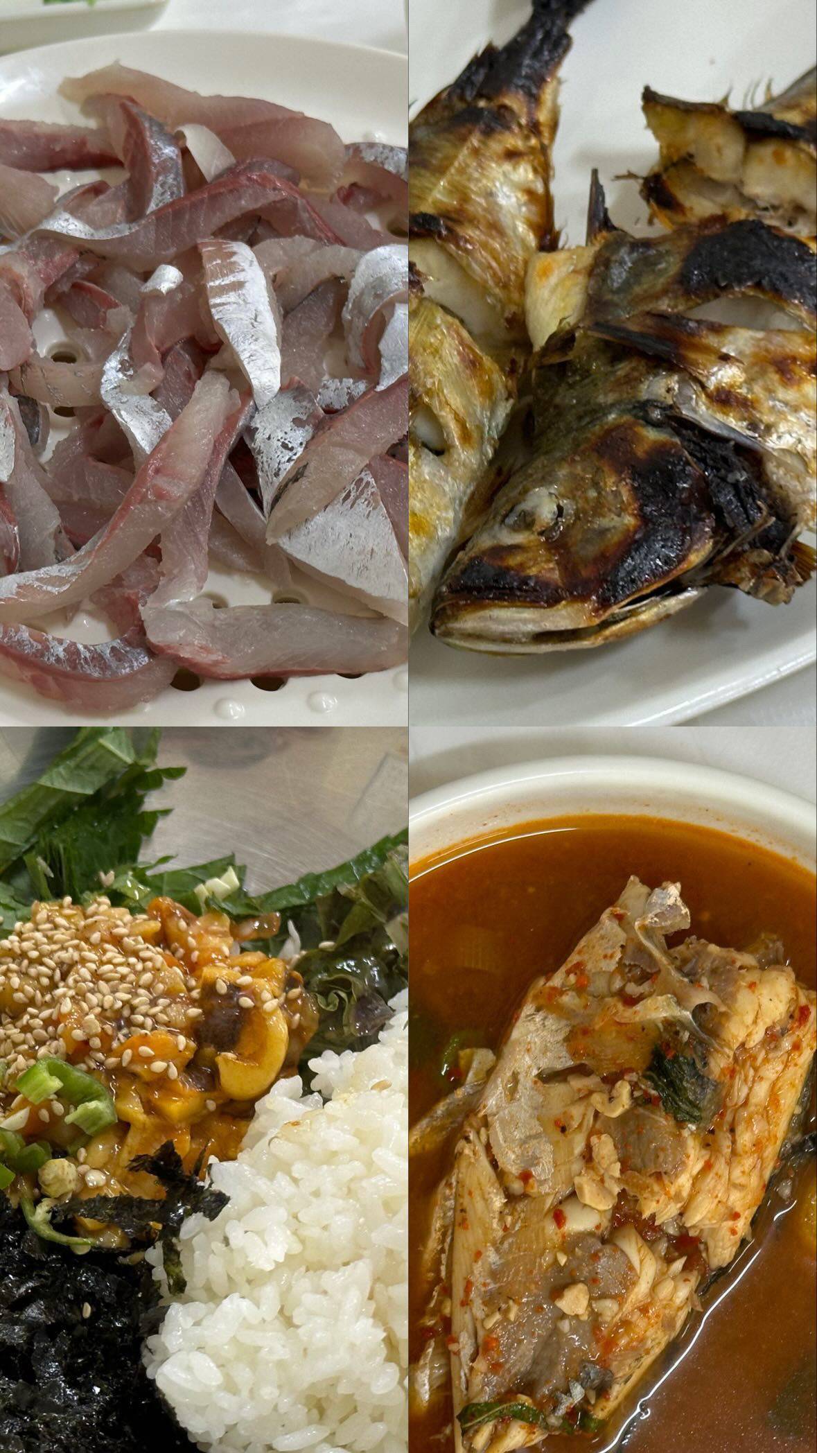 사진 찍는 것도 좋고 맛잇는 것도 좋아 | 인스티즈