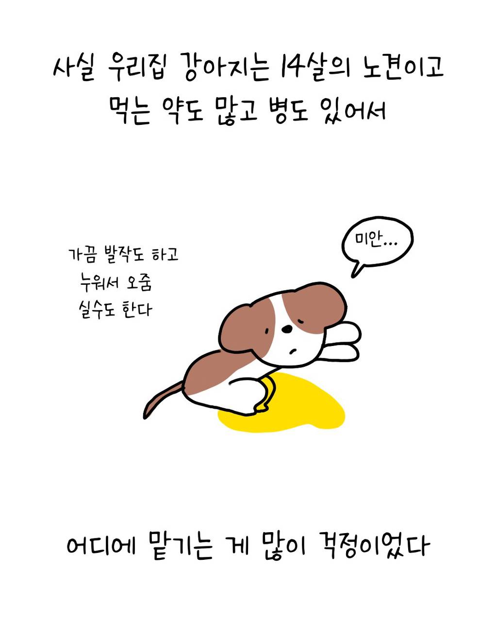 이웃집에 강아지를 맡기는 이야기 | 인스티즈