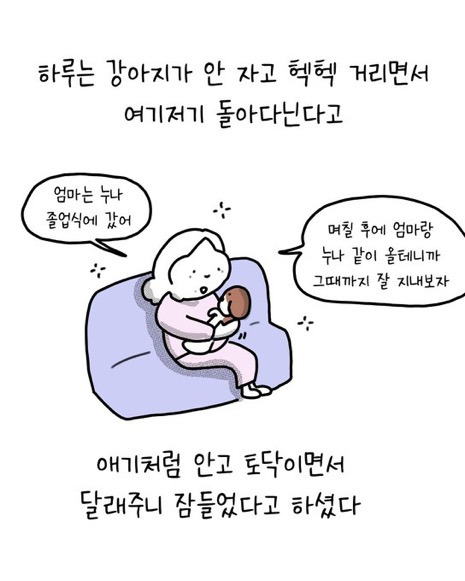 이웃집에 강아지를 맡기는 이야기 | 인스티즈