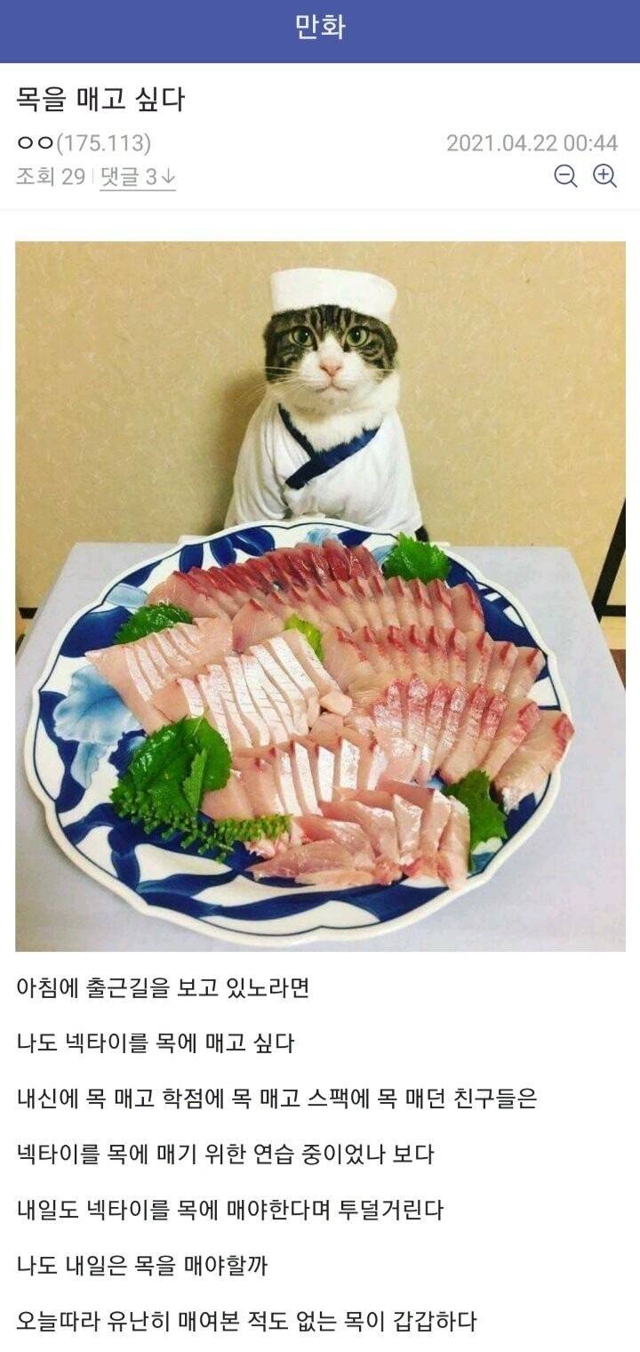 한국의 문학을 묻거든 dc를 보게 하라 | 인스티즈