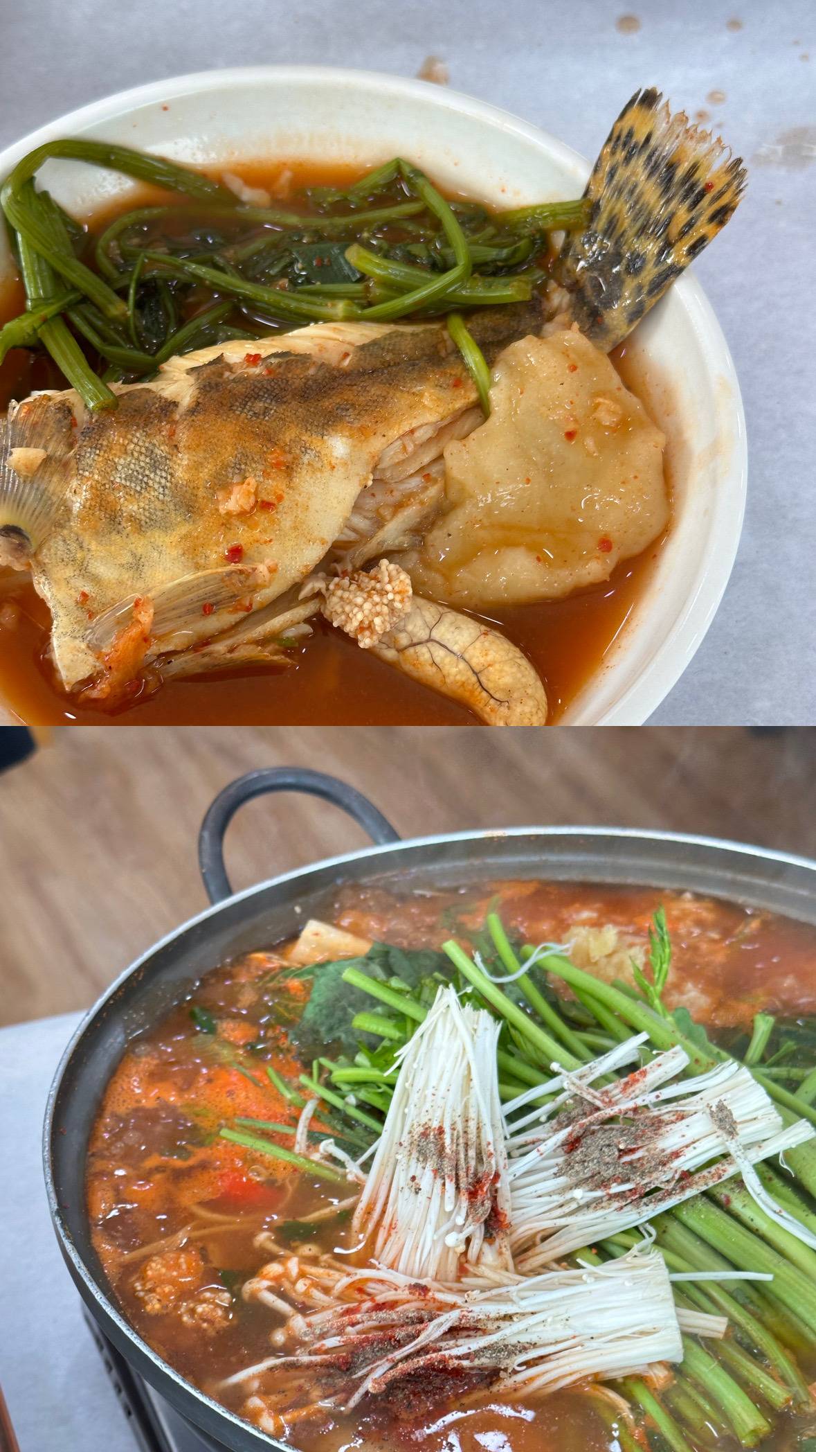 사진 찍는 것도 좋고 맛잇는 것도 좋아 | 인스티즈