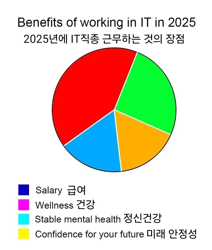 2025년 IT직종에 근무하는 것의 장점 | 인스티즈