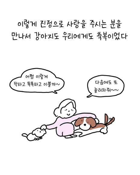 이웃집에 강아지를 맡기는 이야기 | 인스티즈