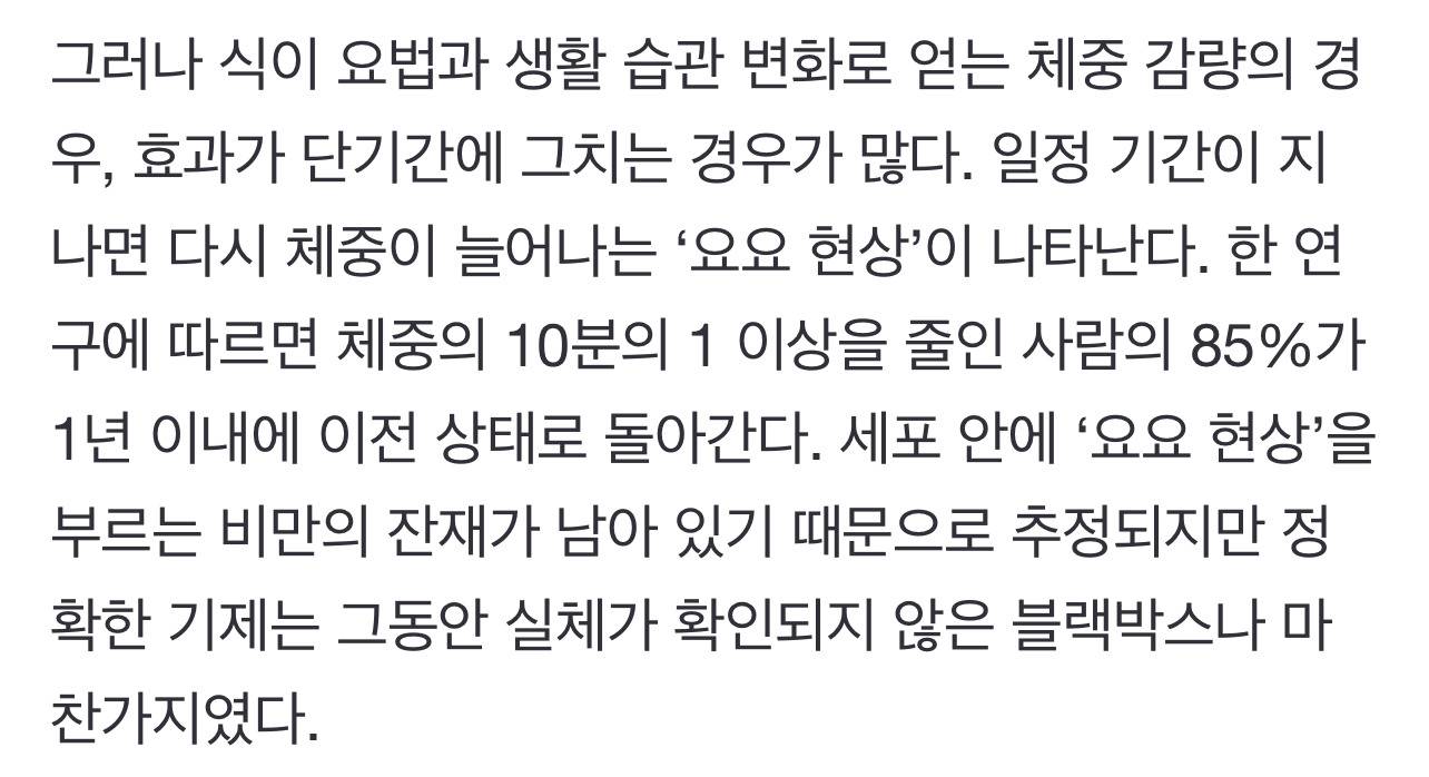 85%가 겪는 '요요' 왜…살 빼도 내 몸은 비만을 기억한다 | 인스티즈