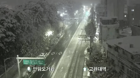 눈 오는 서울 cctv 이곳저곳.gif | 인스티즈