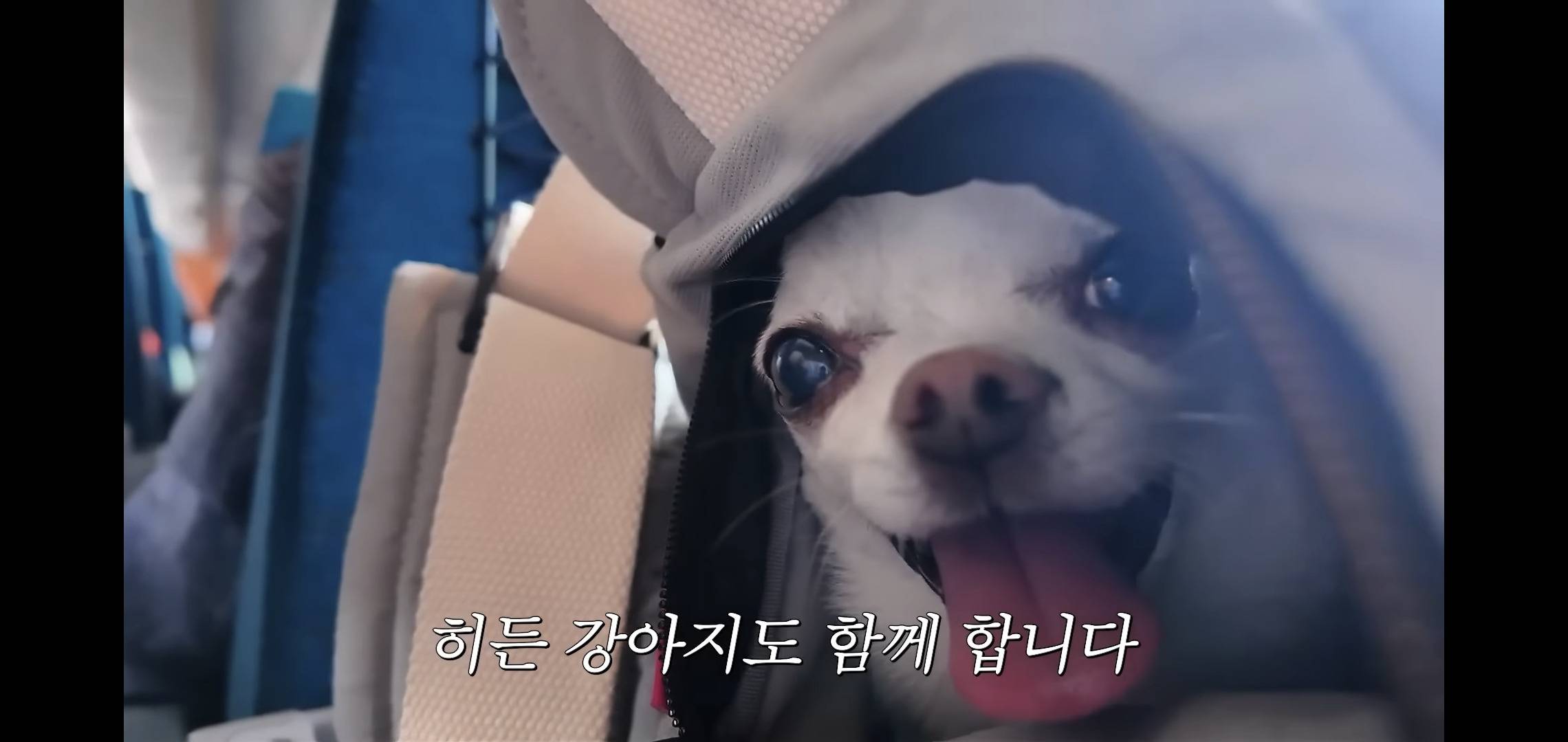 하말넘많 영상 보고 후회한다는 댓글.jpg | 인스티즈