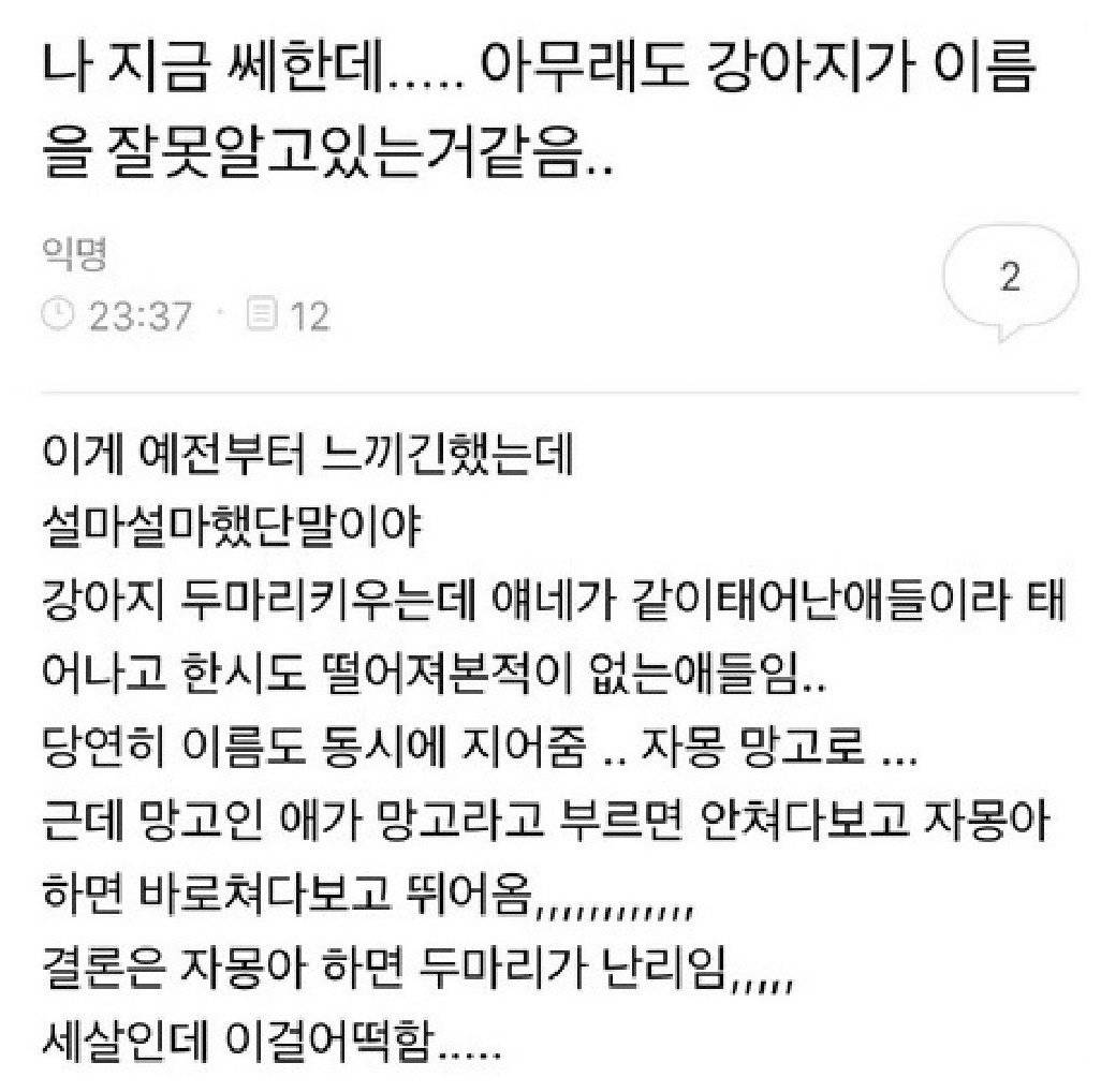 아무래도 강아지가 이름을 잘못 알고 있는거같음 | 인스티즈