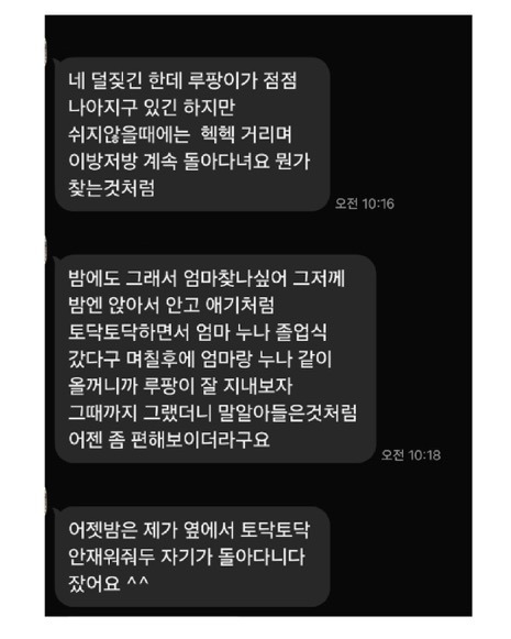 이웃집에 강아지를 맡기는 이야기 | 인스티즈