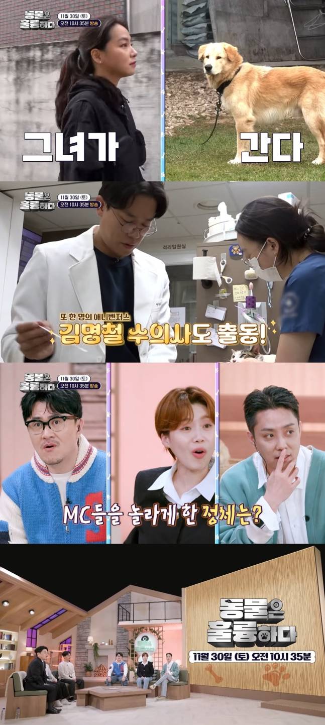 은지원, 지하철역 '멧돼지 출몰+총격전'에 '충격'[동물은훌륭하다] | 인스티즈