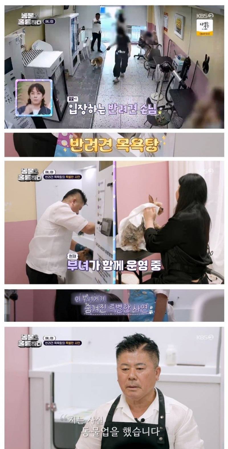 보신탕집 운영하다가 강아지 목욕탕으로 업종변경한 사람 | 인스티즈
