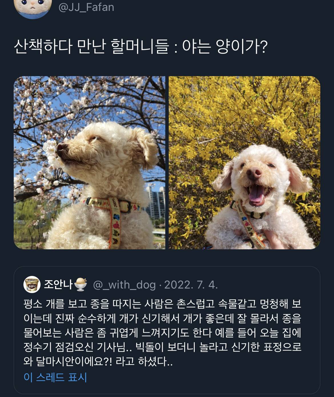 근데… 아파트에서 고라니새끼 키워도 돼요..? | 인스티즈