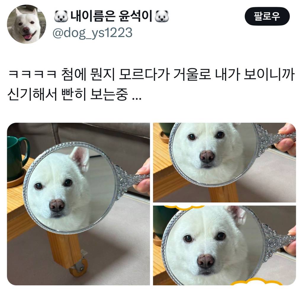 ㅋㅋㅋㅋ 첨에 뭔지 모르다가 거울로 내가 보이니까 신기해서 빤히 보는중 … | 인스티즈