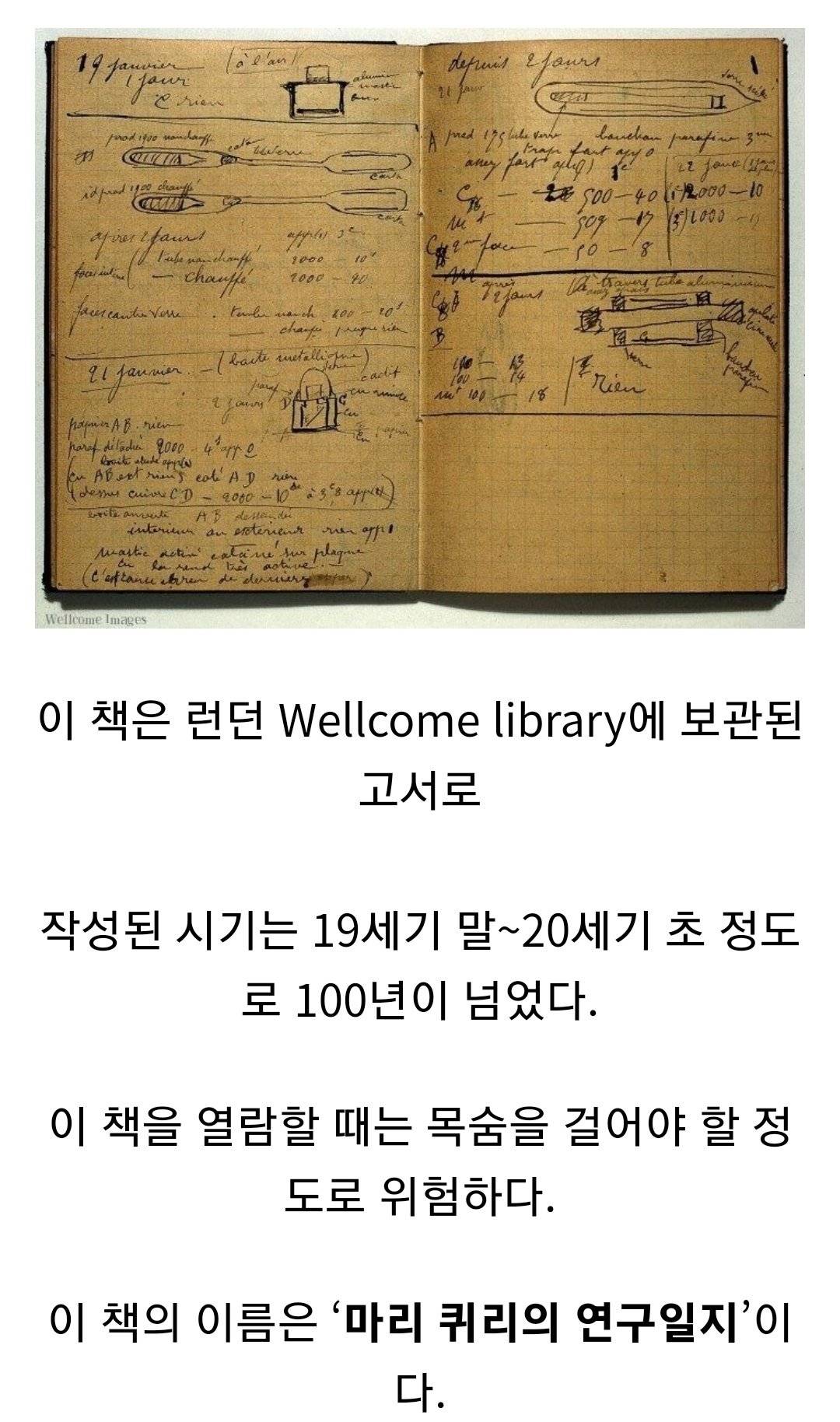 프랑스 국립도서관엔 읽으면 수명을 가져간다는 책이 있다는데 | 인스티즈