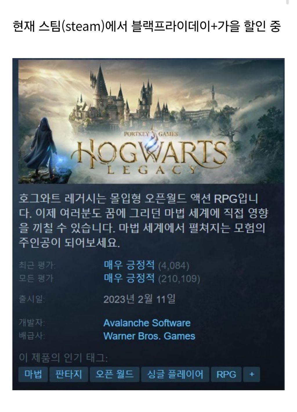 현재 미친거같은 호그와트 레거시 해리포터 게임 가격 근황.jpg | 인스티즈