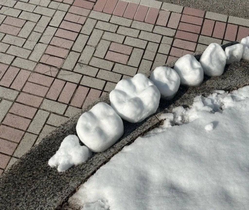 치과대학에서 만든 눈사랑 | 인스티즈