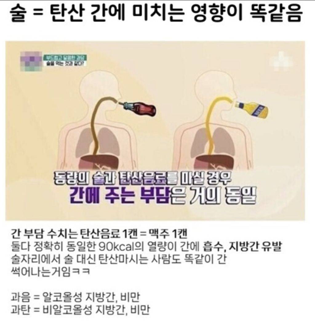 술과 탄산의 공통점 | 인스티즈