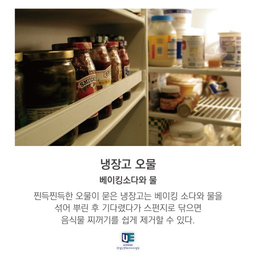 청소 처돌이인 여시들 꿀팁 꿀템 말하고 가는 글 🧹🫧🧼 | 인스티즈