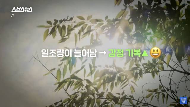 우울한 사람들에게 의외로 "봄" 이라는 계절이 힘들었던 이유 | 인스티즈