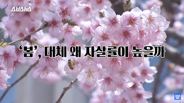 우울한 사람들에게 의외로 "봄" 이라는 계절이 힘들었던 이유 | 인스티즈