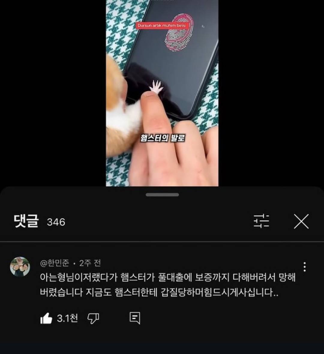 햄스터 지문인식의 위험성 | 인스티즈