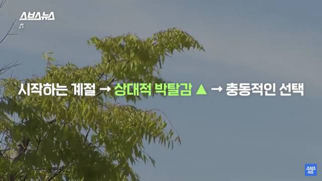 우울한 사람들에게 의외로 "봄" 이라는 계절이 힘들었던 이유 | 인스티즈