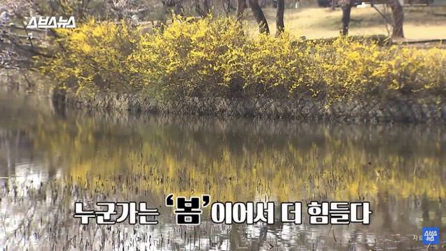 우울한 사람들에게 의외로 "봄" 이라는 계절이 힘들었던 이유 | 인스티즈