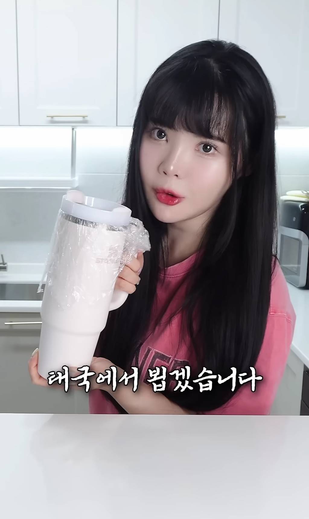스탠리 텀블러에 요아정을 넣고 방콕 여행을 가면 녹을까 안 녹을까 | 인스티즈