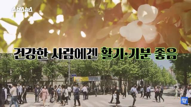 우울한 사람들에게 의외로 "봄" 이라는 계절이 힘들었던 이유 | 인스티즈