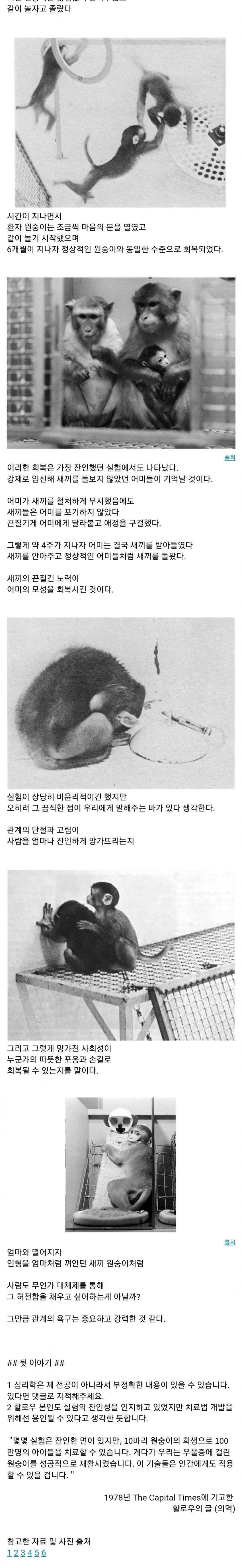 원숭이 애착 실험의 끔찍한 이야기.jpg | 인스티즈