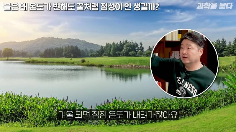 물은 온도가 변해도 왜 꿀처럼 점성이 생기지 않을까? | 인스티즈