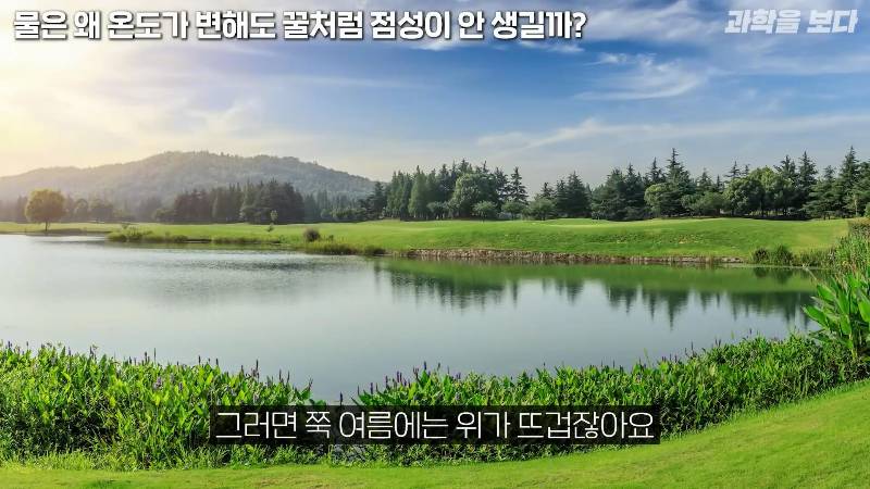 물은 온도가 변해도 왜 꿀처럼 점성이 생기지 않을까? | 인스티즈