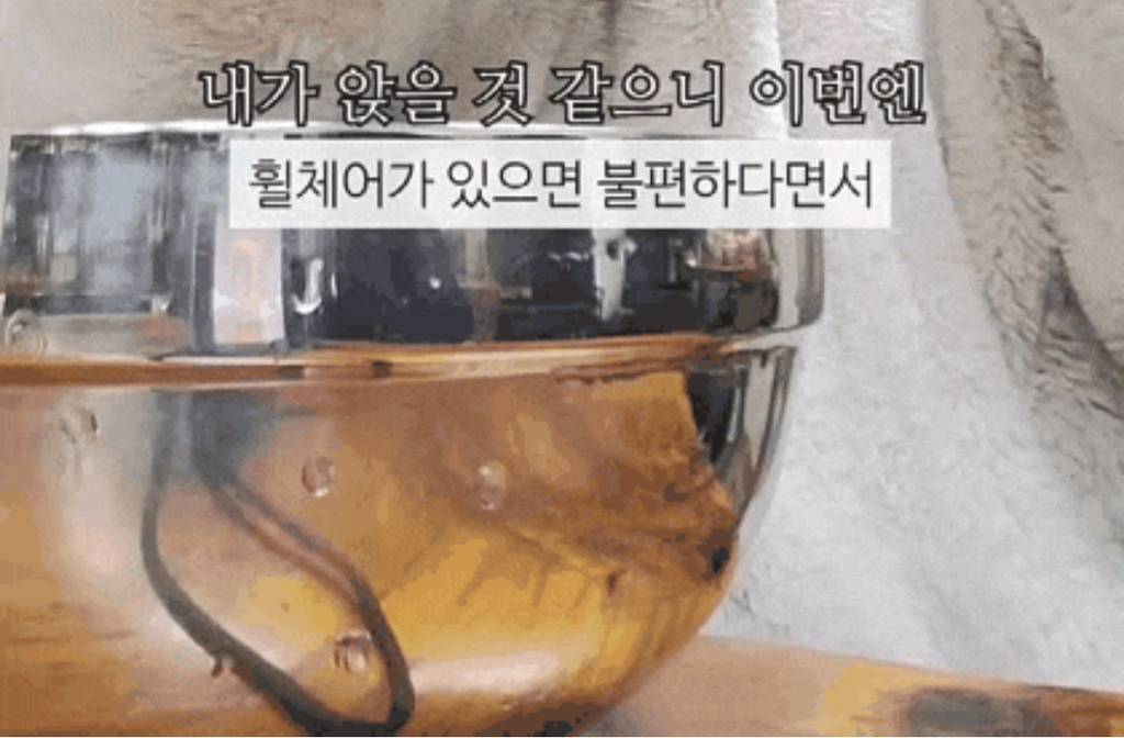 휠체어 타고 한국, 대만, 일본, 오스트리아.jpg | 인스티즈