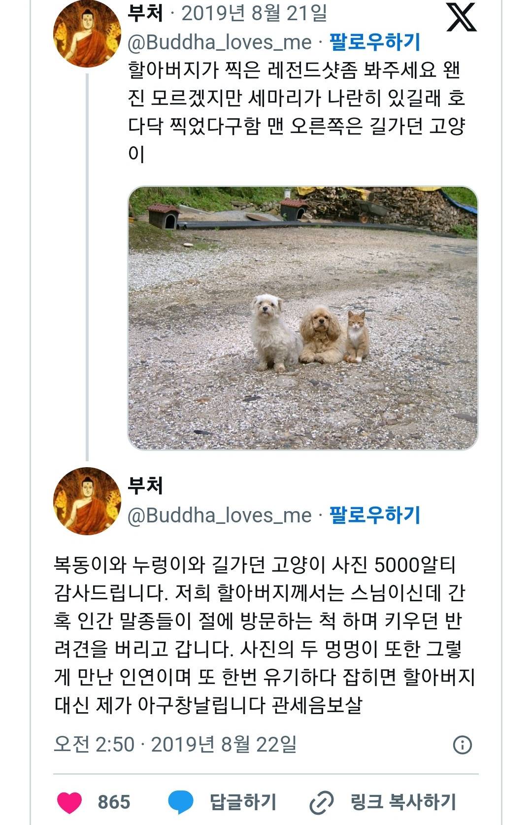 할아버지가 찍은 멍멍이 사진 레전드.jpg | 인스티즈