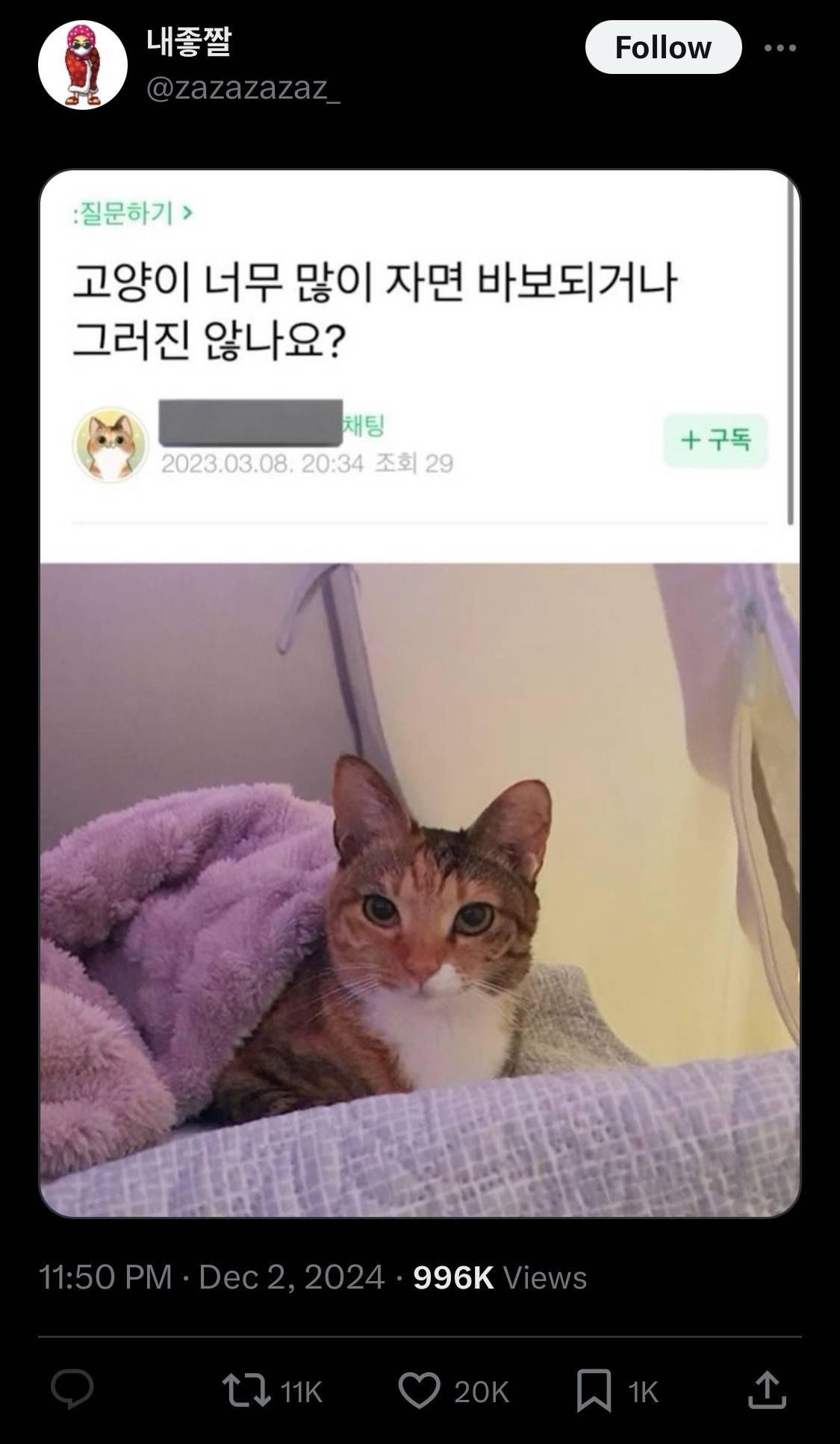 개웃기네 아멜리 하이라이터 설명봐라.twt | 인스티즈