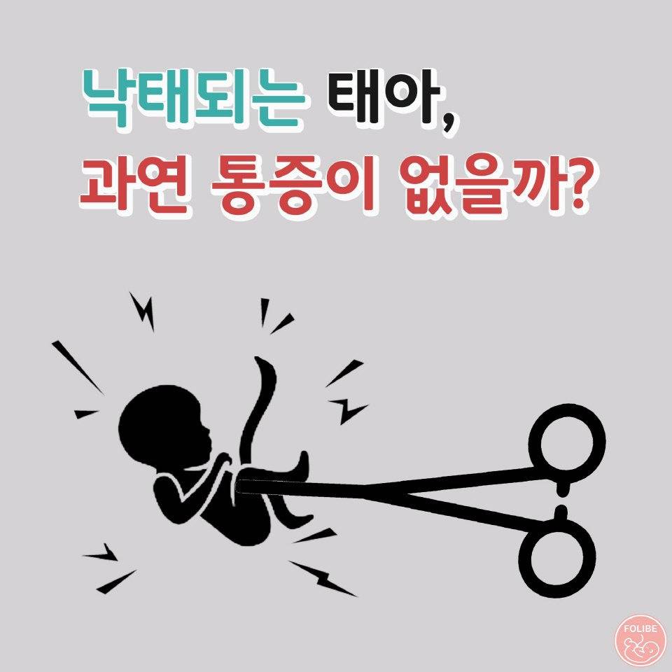 배울만큼 배운 사람이 왜 말도 안되는 결정을 하는 걸까? - 우리편 편향 알아보기 | 인스티즈