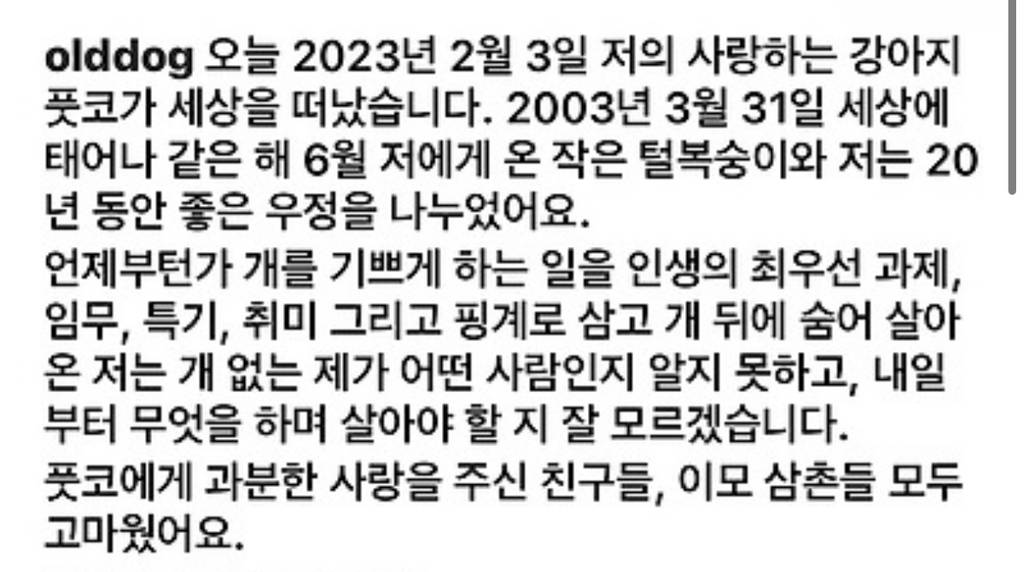 노견일기 올드독 정우열 작가 인스타 게시글 | 인스티즈