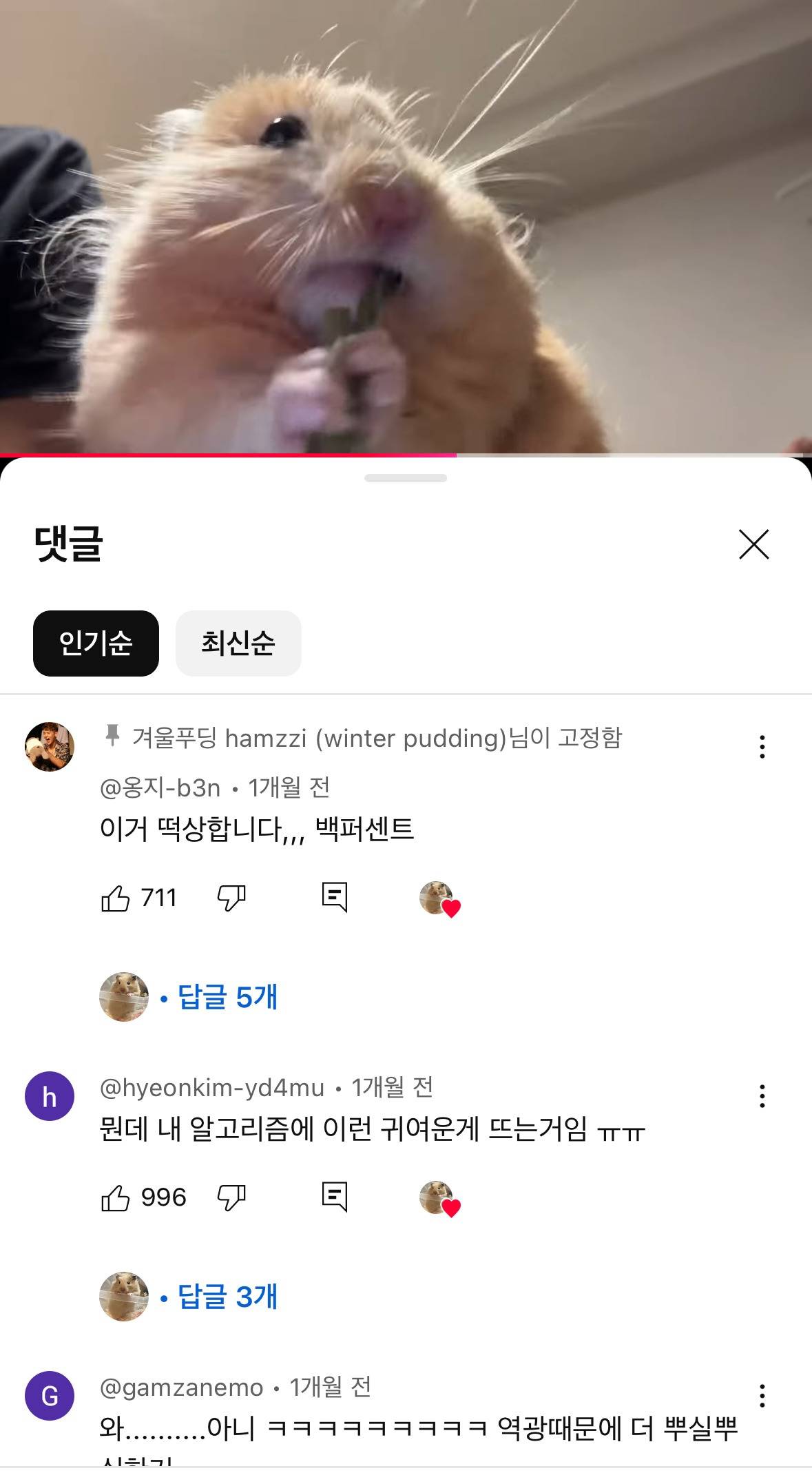 당근먹방 | 인스티즈