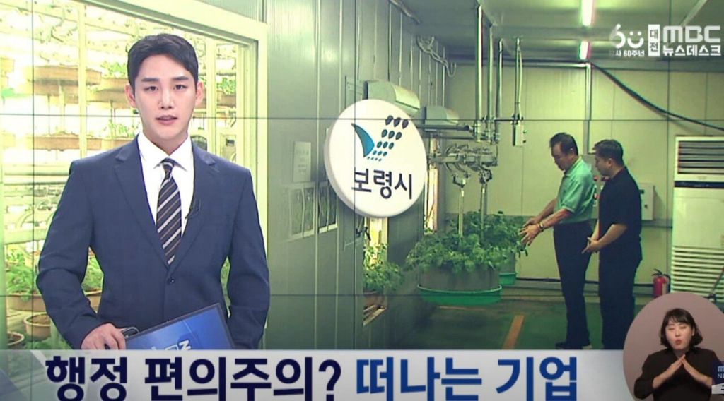 충남 보령시 매출 1위 공장이 떠나는 이유 | 인스티즈