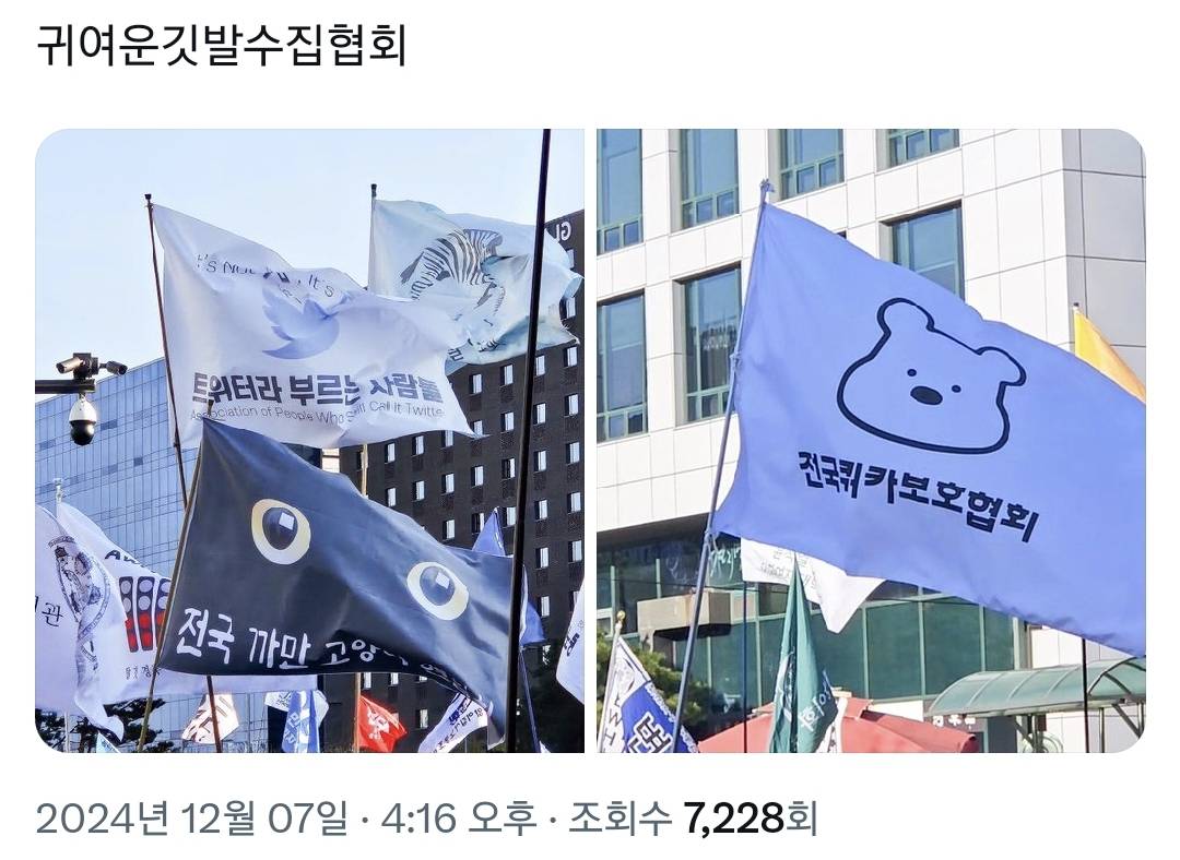 오늘 탄핵 시위에 있었던 신박하고 근본없는 깃발들 모음.twt | 인스티즈