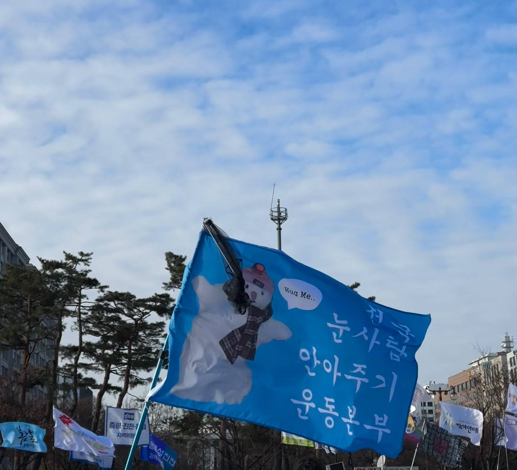 오늘 탄핵 시위에 있었던 신박하고 근본없는 깃발들 모음.twt | 인스티즈