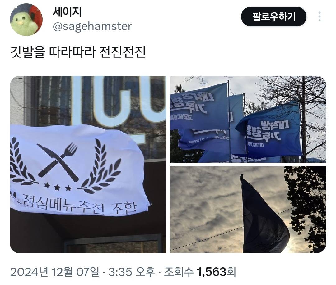 오늘 탄핵 시위에 있었던 신박하고 근본없는 깃발들 모음.twt | 인스티즈