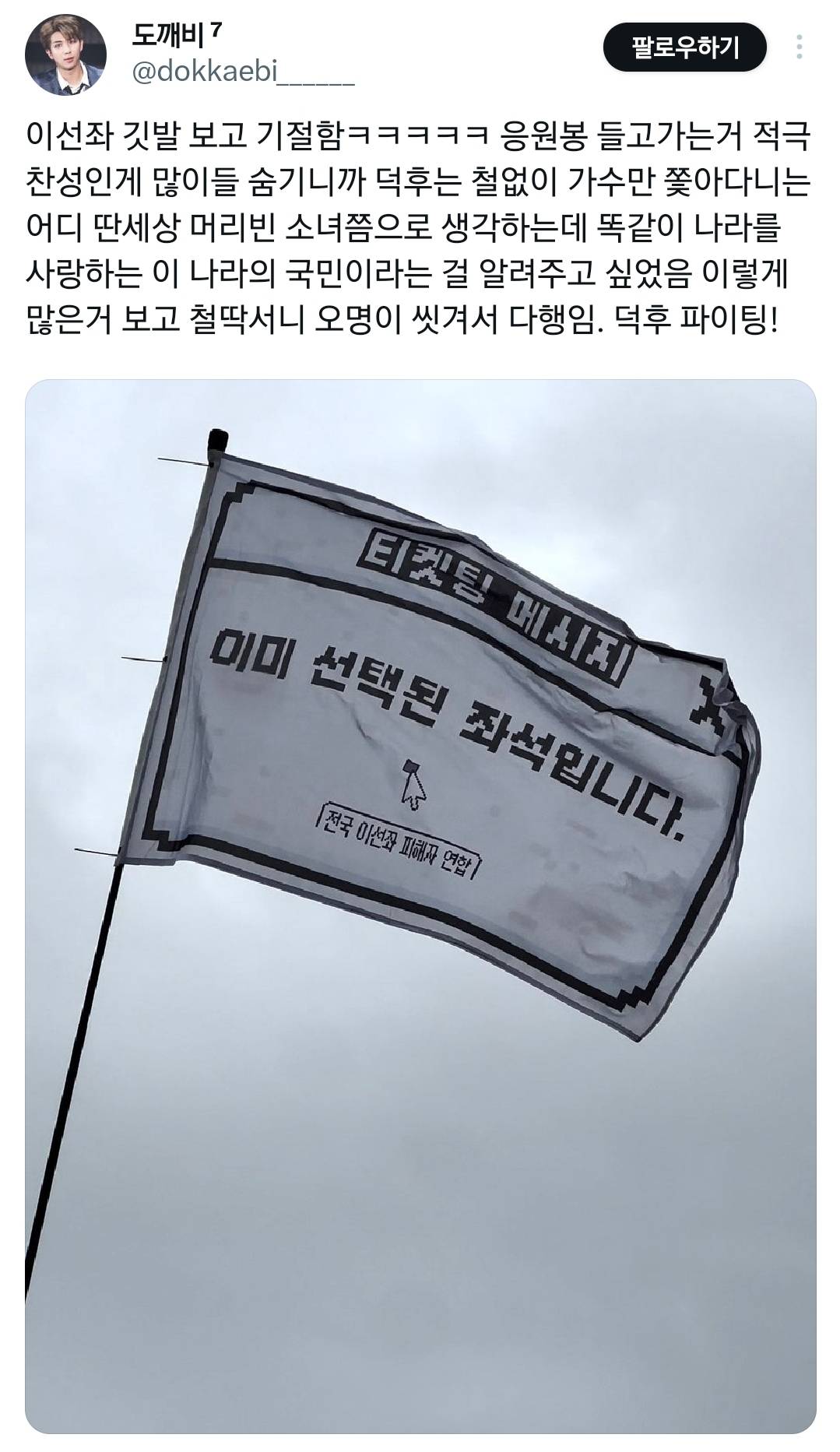 오늘 탄핵 시위에 있었던 신박하고 근본없는 깃발들 모음.twt | 인스티즈