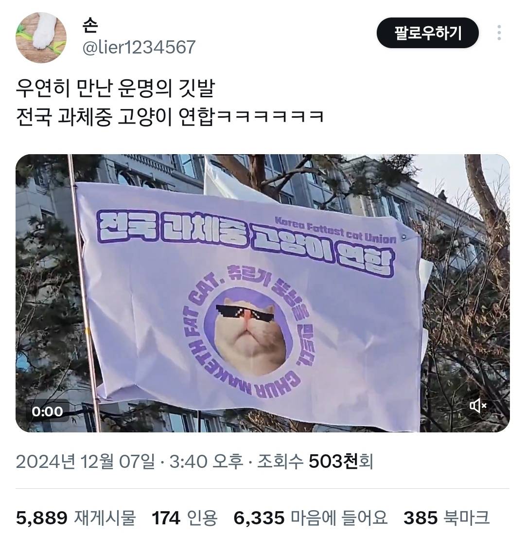 오늘 탄핵 시위에 있었던 신박하고 근본없는 깃발들 모음.twt | 인스티즈