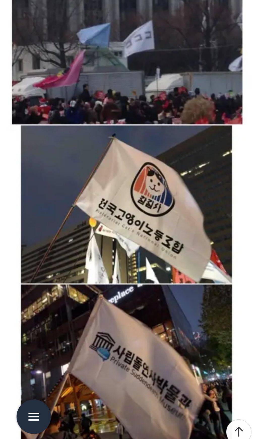 탄핵 시위= 대짱잼 깃발 대회 | 인스티즈