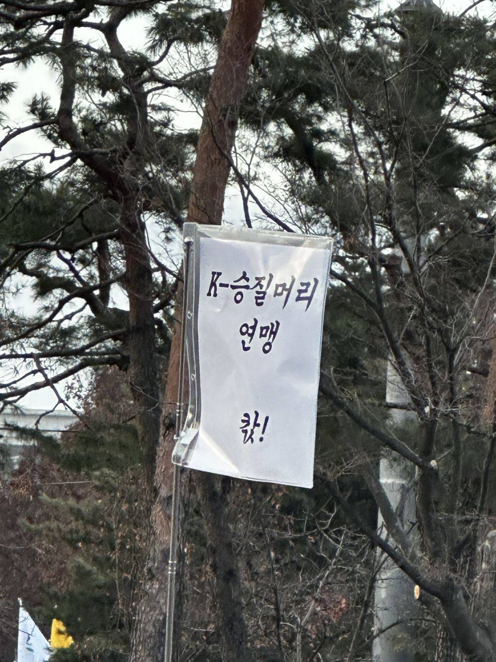 탄핵 시위= 대짱잼 깃발 대회 | 인스티즈