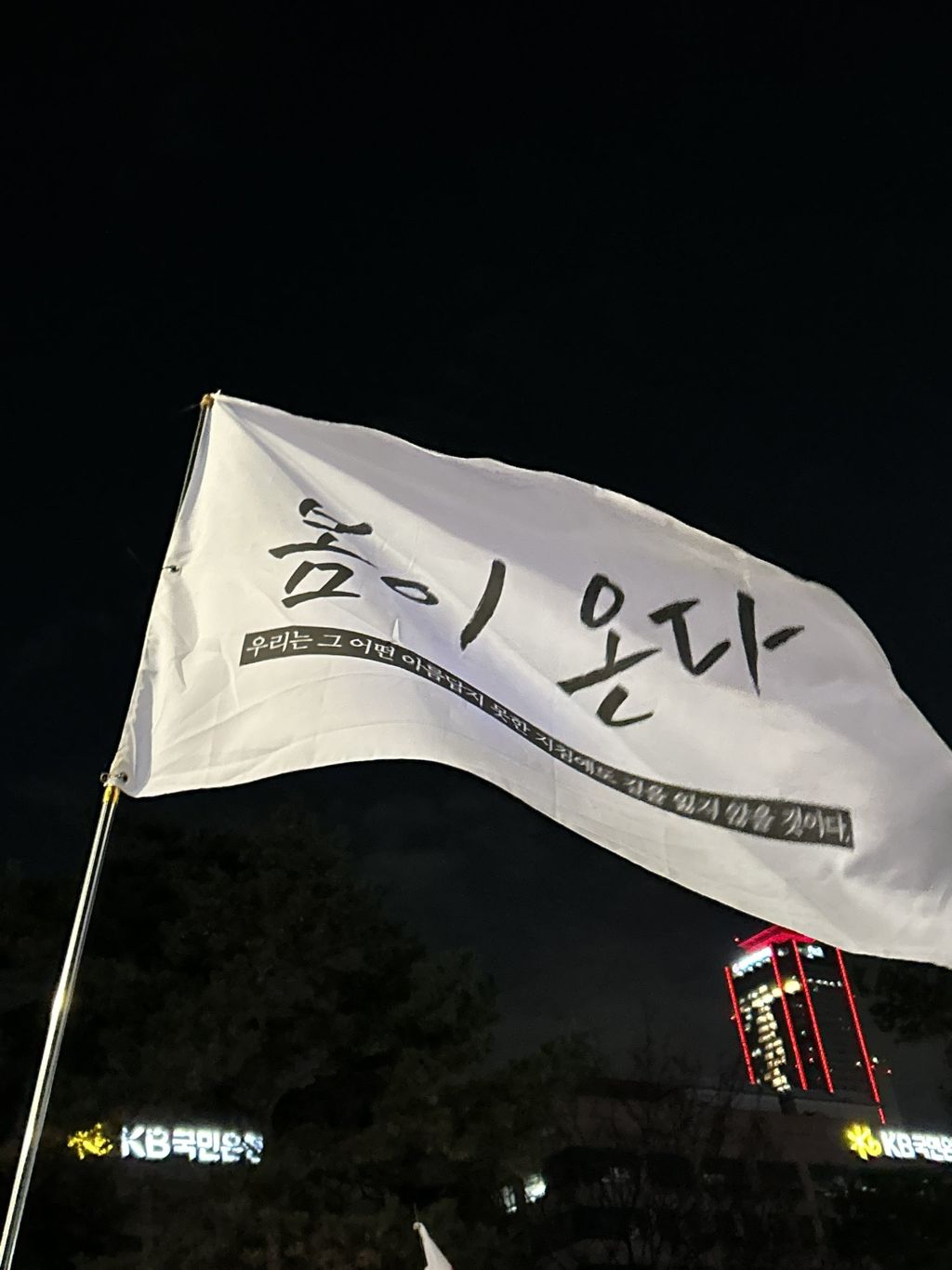탄핵 시위= 대짱잼 깃발 대회 | 인스티즈