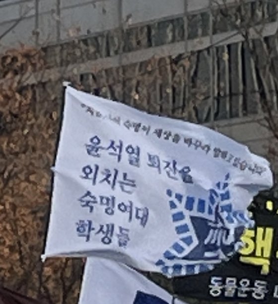 탄핵 시위= 대짱잼 깃발 대회 | 인스티즈