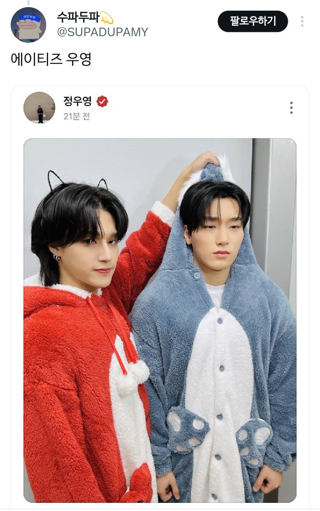 렉카계정에 2찍몰이 당하고 억울해서 잠 못 잘 듯한 아이돌.twt | 인스티즈