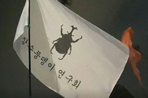 탄핵 시위= 대짱잼 깃발 대회 | 인스티즈